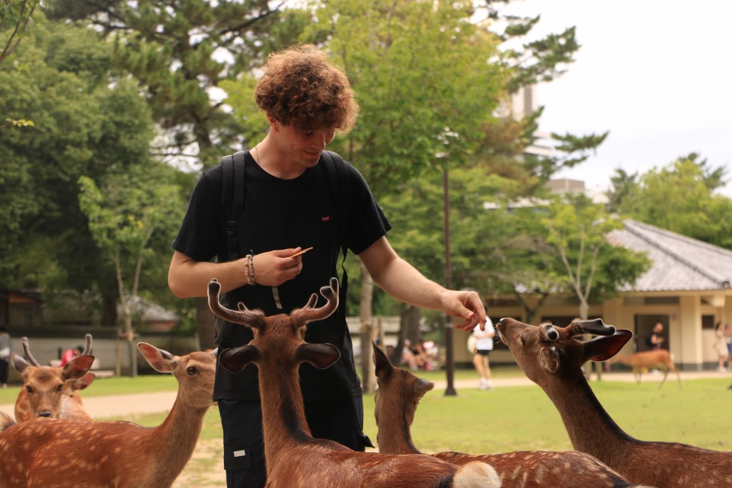 séjour au Japon pour ados
