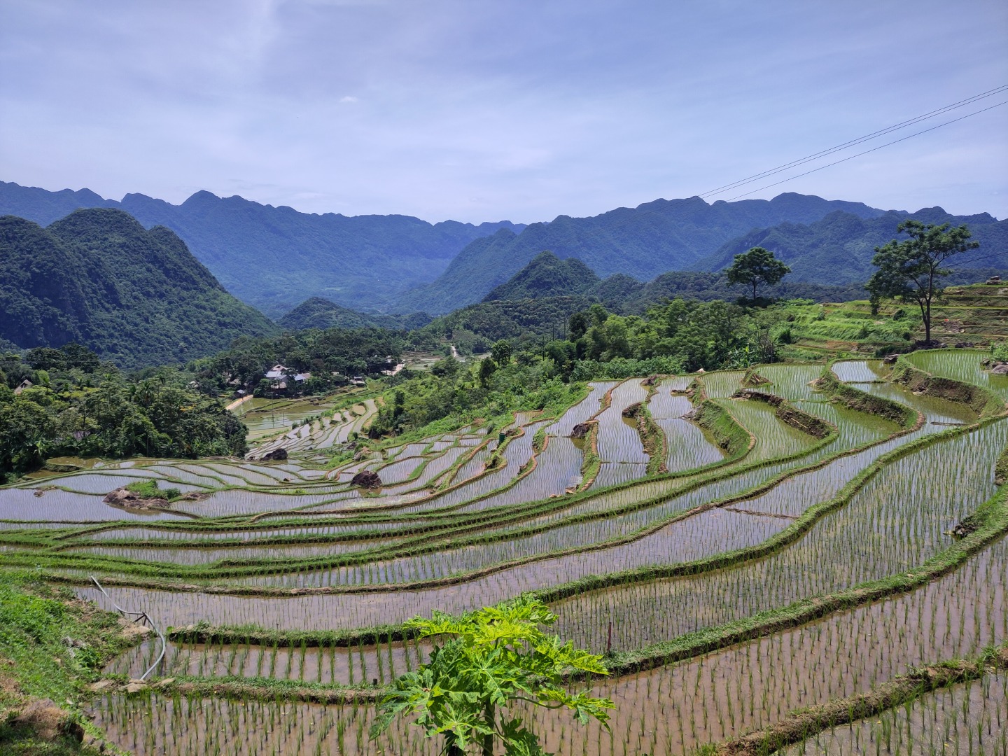 Paysage de rizières en terrasses entourées de montagnes au Vietnam pendant une colonie CEI