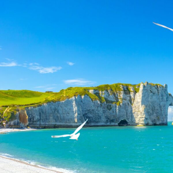 Cours particuliers d'anglais ou de français chez un professeur en France