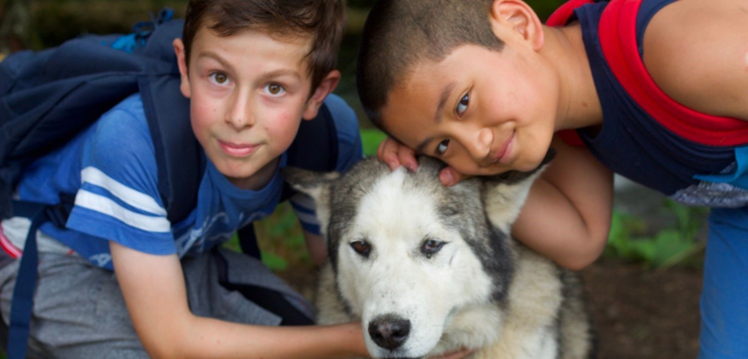 amitie, colonie de vacances