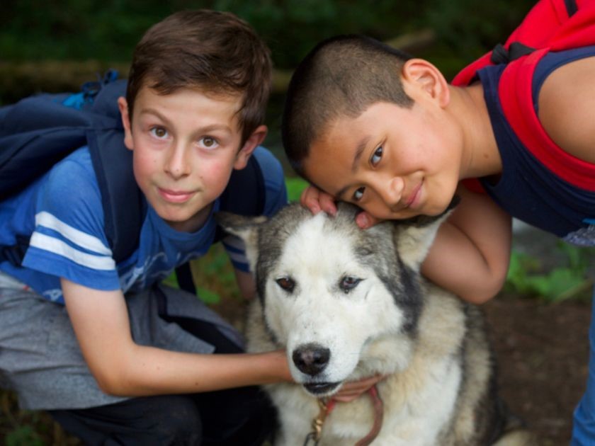 chiens, montagne, enfants