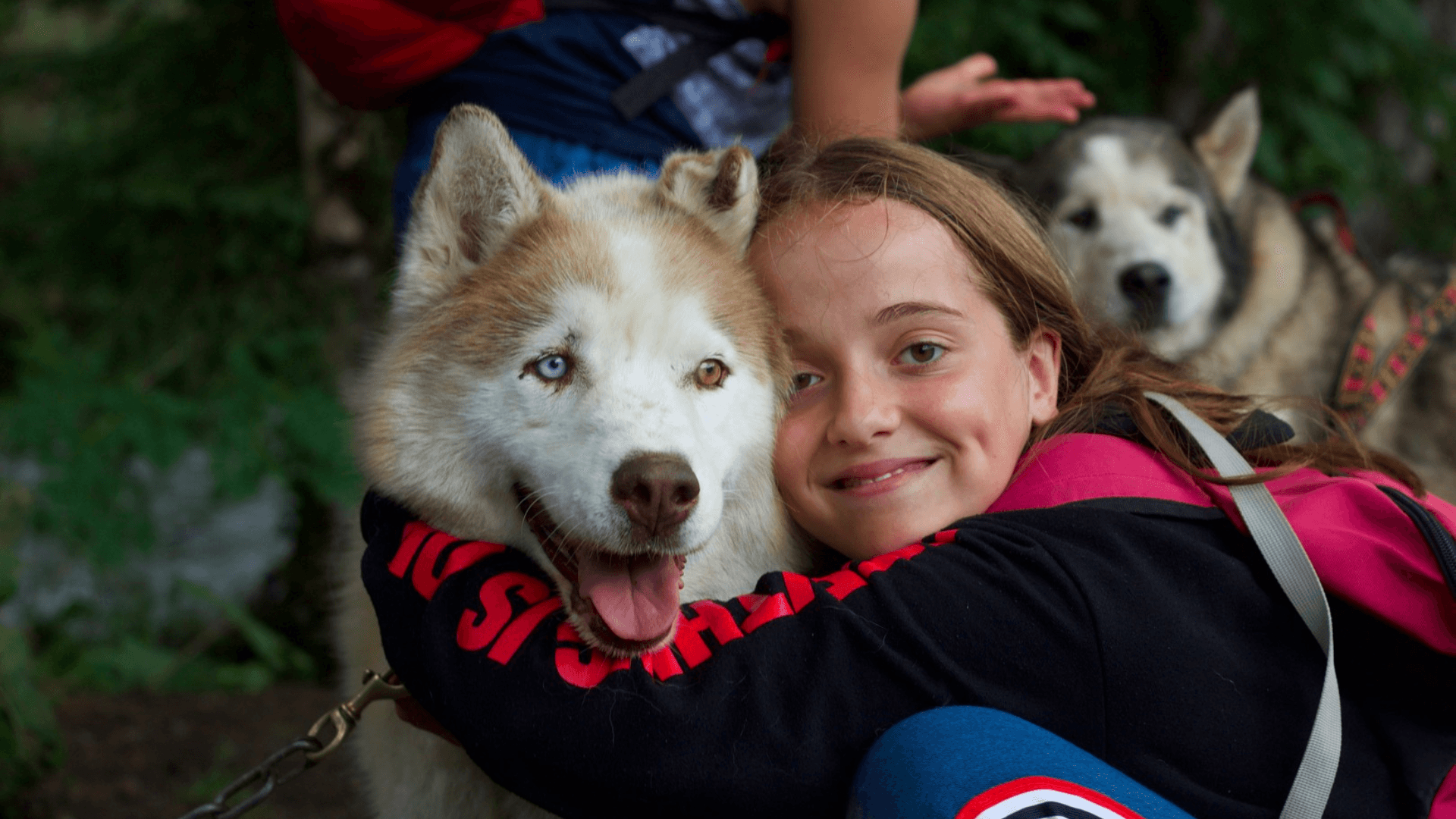 colonie de vacances, chiens, jeunes