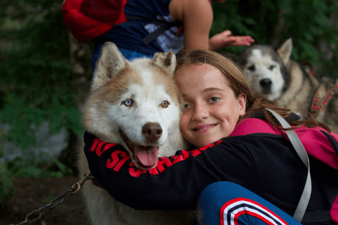 chiens, montagne, france, colonie de vacances