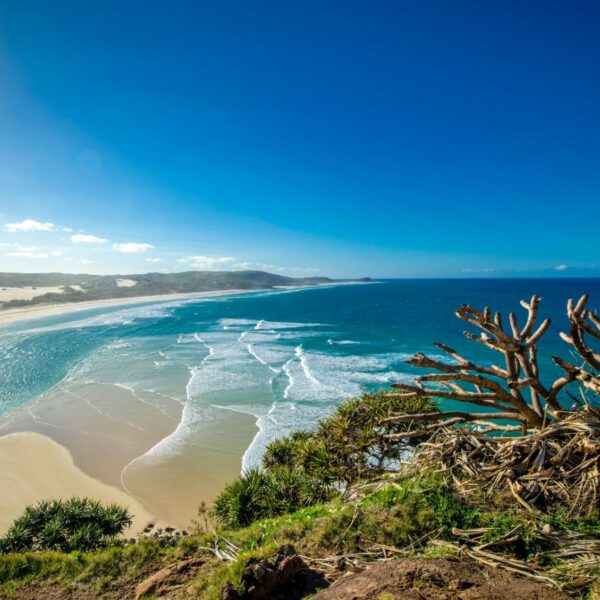 Immersion linguistique en lycée à Cairns
