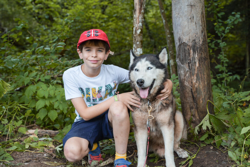 Chiens des montagnes - 12 jours