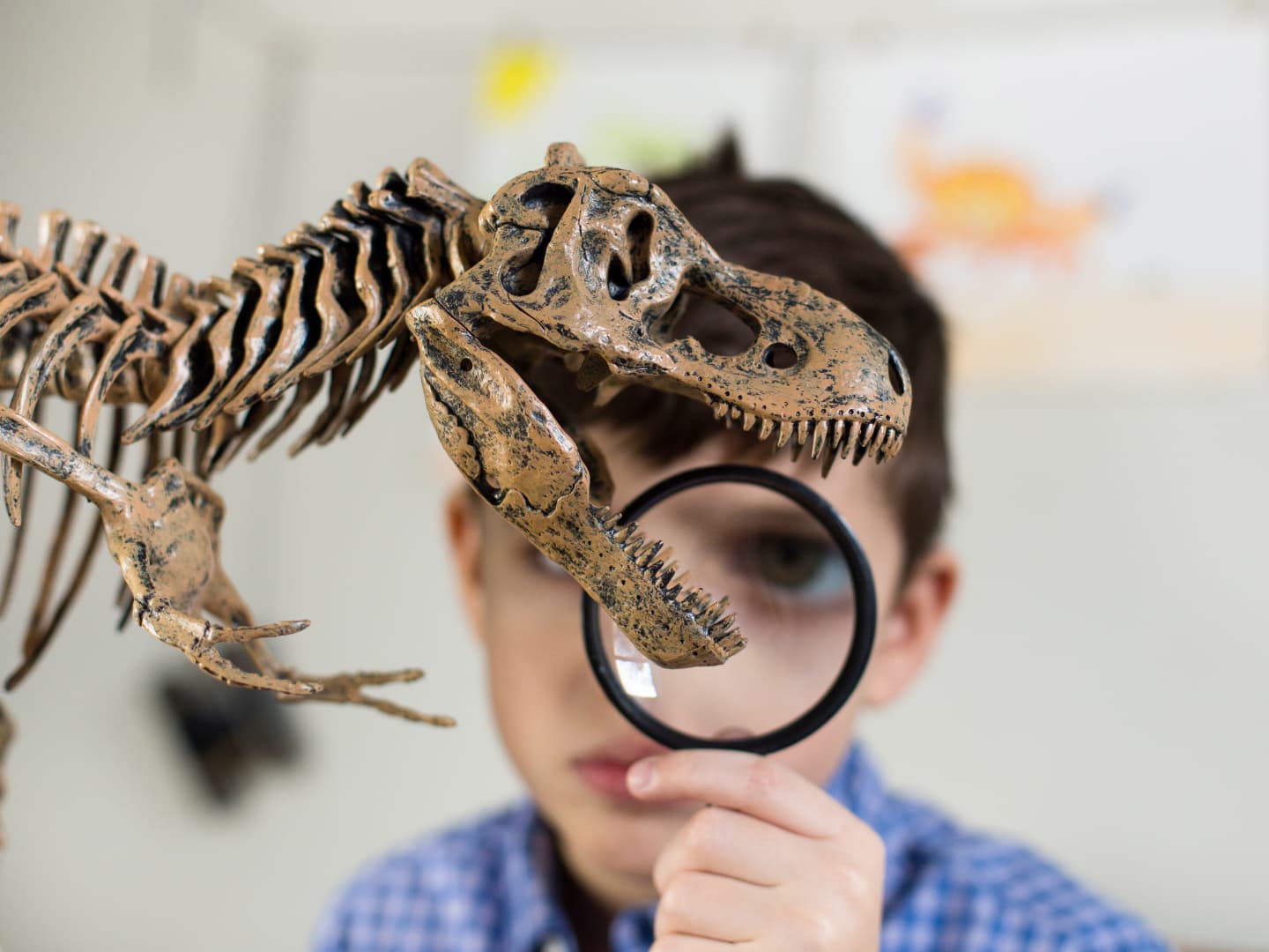 colo sur le thème des dinosaures