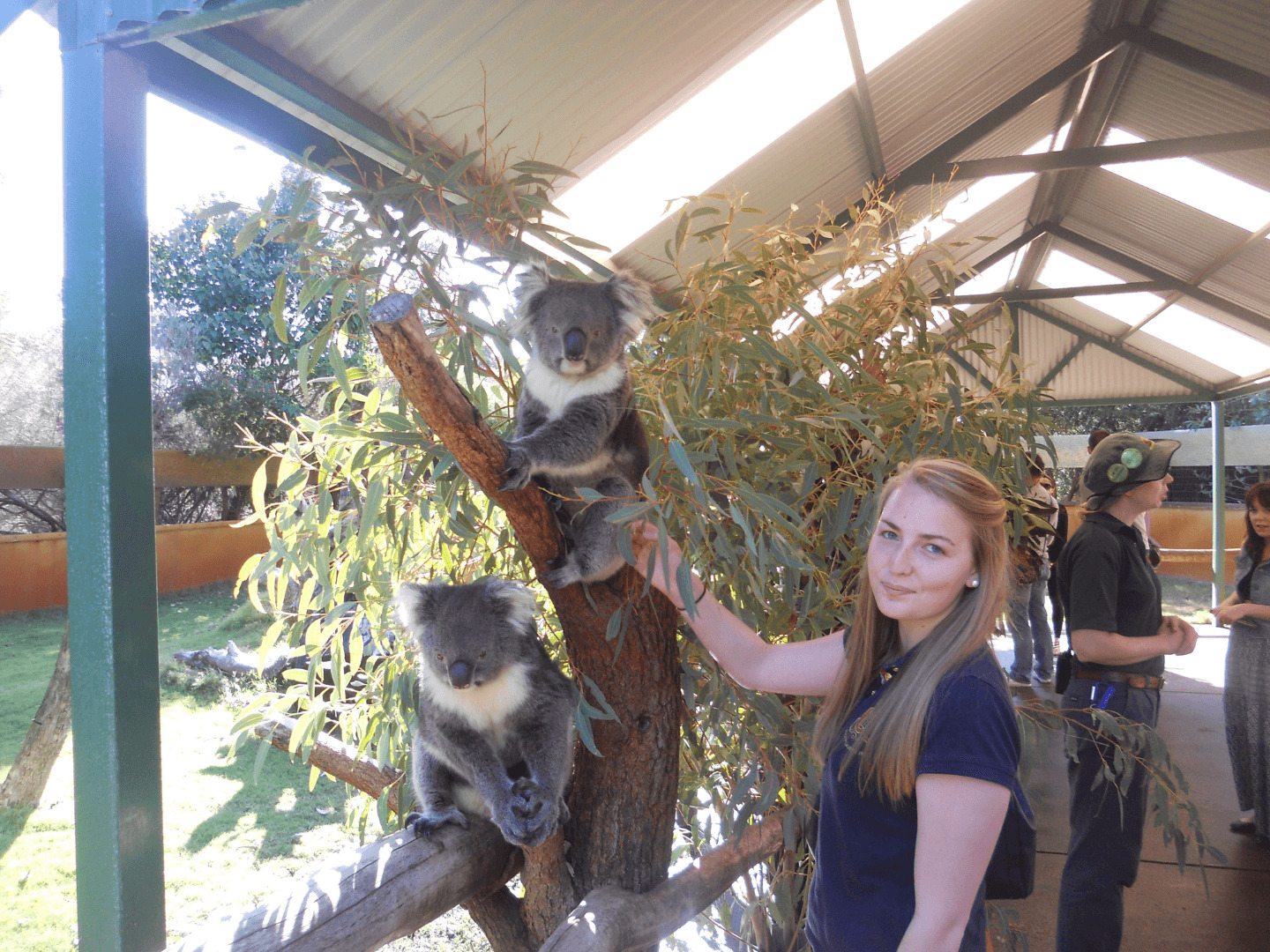 programme scolaire en australie