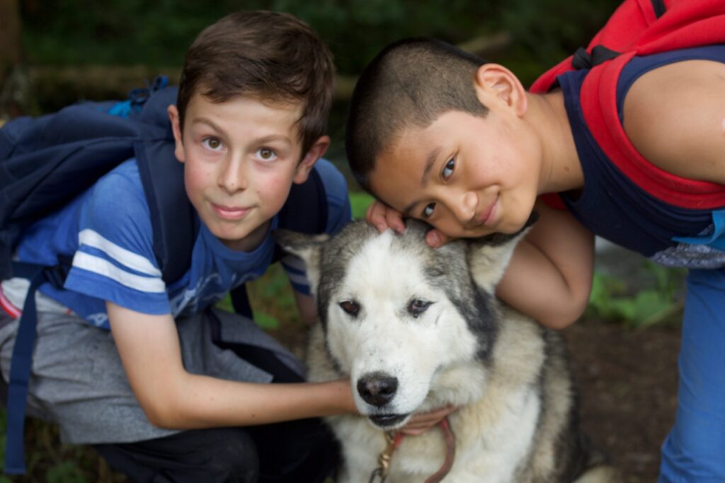 Colonie de vacances thématique montagne et chien huskies.