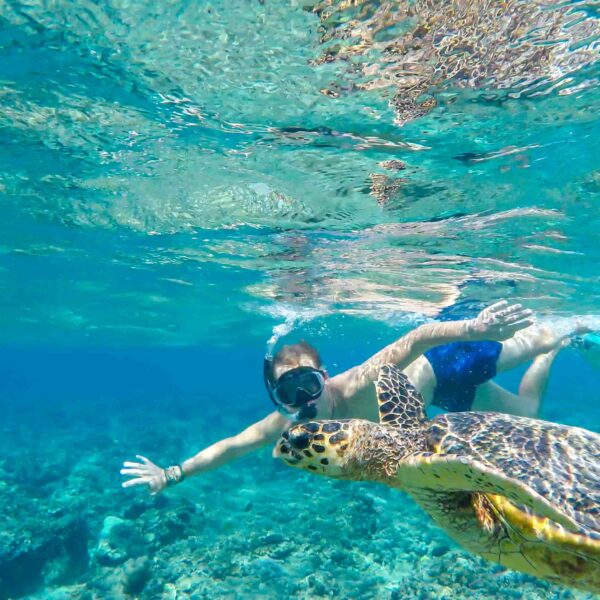 Colonie de vacances à Bali : traditions et sauvegarde des tortues - 13/17 ans