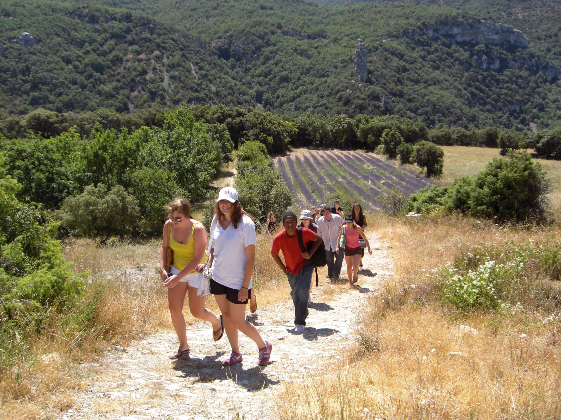 Students hiking near lavender fields in southern France

