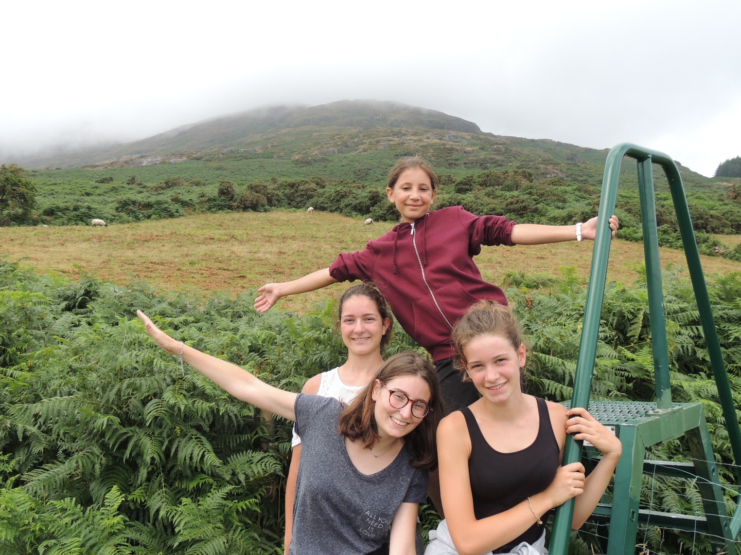 Séjour linguistique à Dublin – Nature et convivialité.