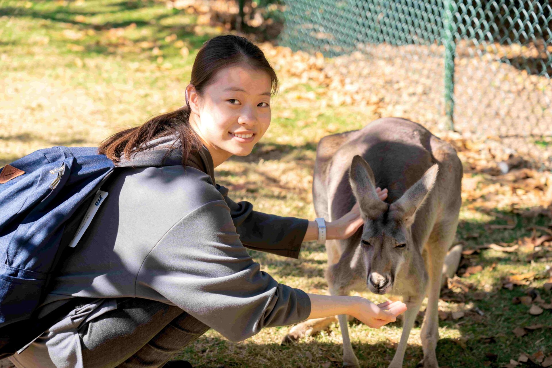 Étudiante nourrissant un kangourou pendant un séjour linguistique à Byron Bay.