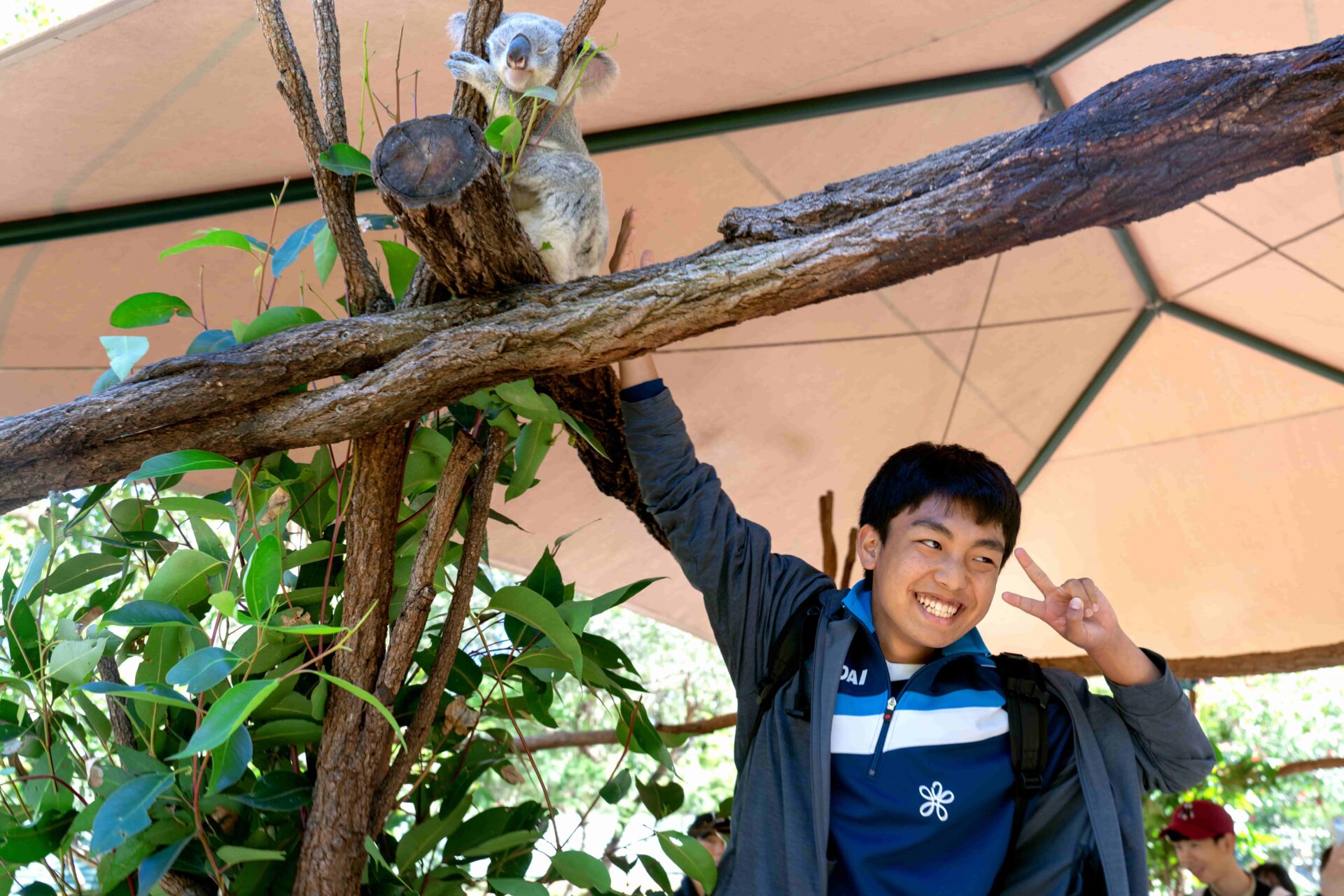 Étudiant posant près d’un koala pendant un séjour linguistique à Byron Bay.