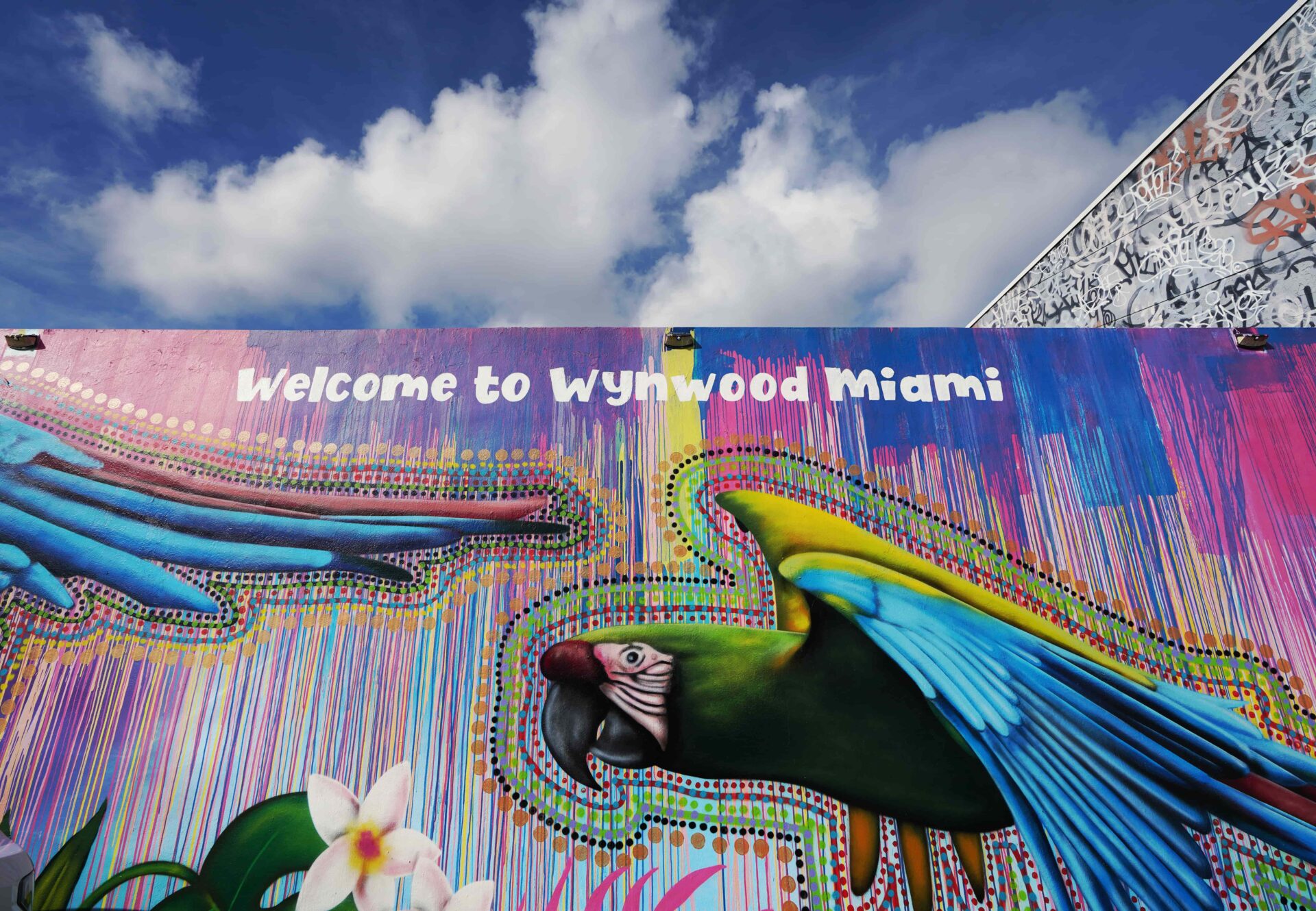 Fresque de Wynwood visitée lors d’un séjour linguistique à Miami